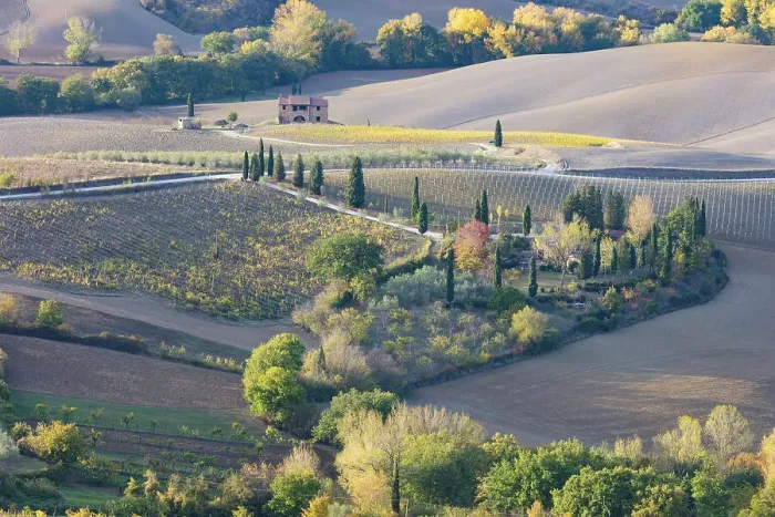 Framed Print : A farmhouse surrounded by vines and ploughed fields in the autumn, Montepulciano Framed Print : A farmhouse surrounded by vines and ploughed fields in the autumn, Montepulciano