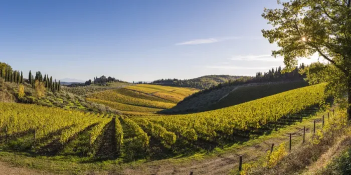 Framed Print : Farmhouse surrounded by vineyards. Gaiole in Chianti, Siena province, Tuscany, Italy Framed Print : Farmhouse surrounded by vineyards. Gaiole in Chianti, Siena province, Tuscany, Italy