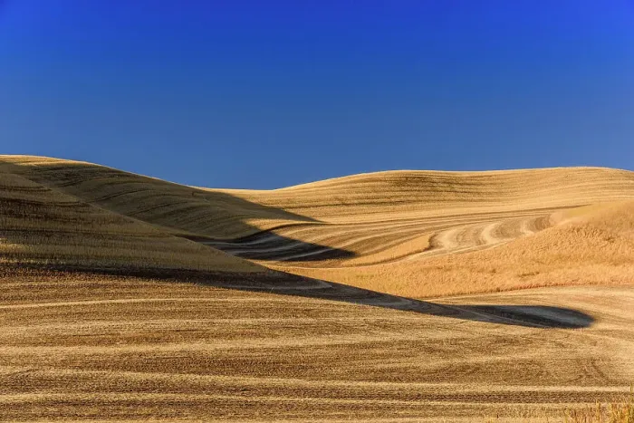 Framed Print : Farmland in late summer, near Pullman, Washington, USA Framed Print : Farmland in late summer, near Pullman, Washington, USA