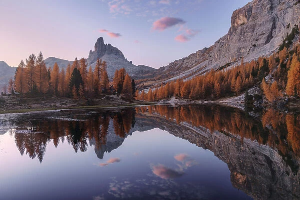 Federa lake in autumn surrounded by larches at sunrise, Dolomites, Italy