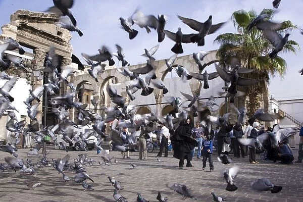 Feeding the pigeons in front of the remains of the