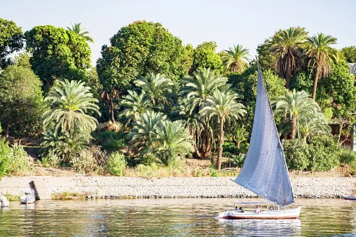 Framed Print : Felucca sailing near palm trees on the Nile River, Aswan, Egypt Framed Print : Felucca sailing near palm trees on the Nile River, Aswan, Egypt