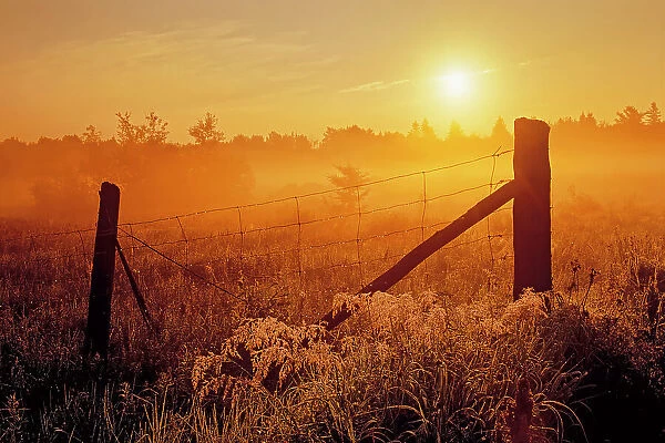 Fence at sunrise in fog Estaire, Ontario, Canada