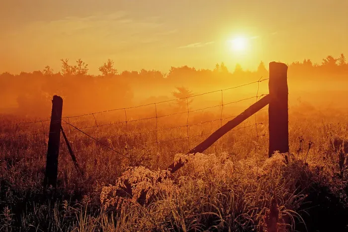Framed Print : Fence at sunrise in fog Estaire, Ontario, Canada Framed Print : Fence at sunrise in fog Estaire, Ontario, Canada