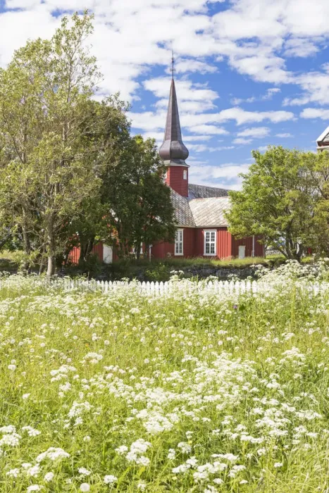 Framed Print : Field of blooming flowers frame the typical wooden church Flakstad Lofoten Islands Framed Print : Field of blooming flowers frame the typical wooden church Flakstad Lofoten Islands
