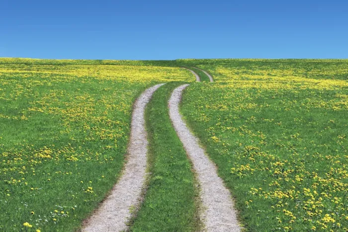 Framed Print : Field path and dandelions - Germany, Bavaria, Upper Bavaria, Weilheim-Schongau, Penzberg Framed Print : Field path and dandelions - Germany, Bavaria, Upper Bavaria, Weilheim-Schongau, Penzberg
