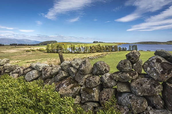Field stone wall at Loch Coulter south of Stirling, Stirling, Scotland, Great Britain