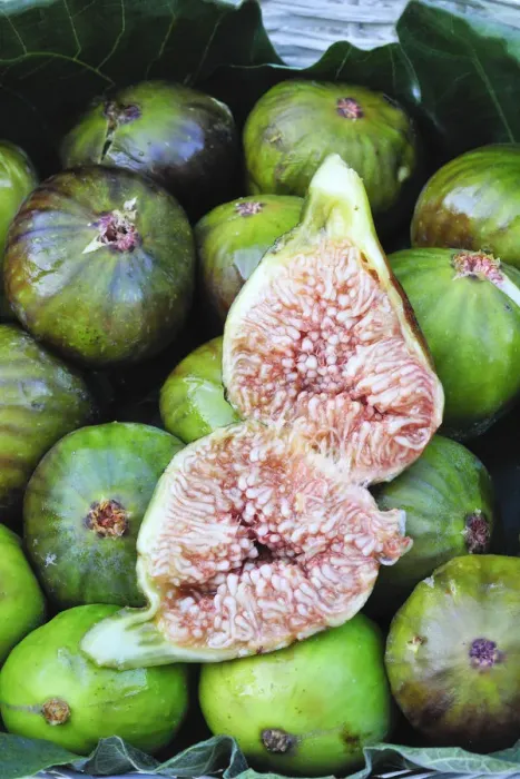 Framed Print : Figs, a delicacy. Portugal Framed Print : Figs, a delicacy. Portugal