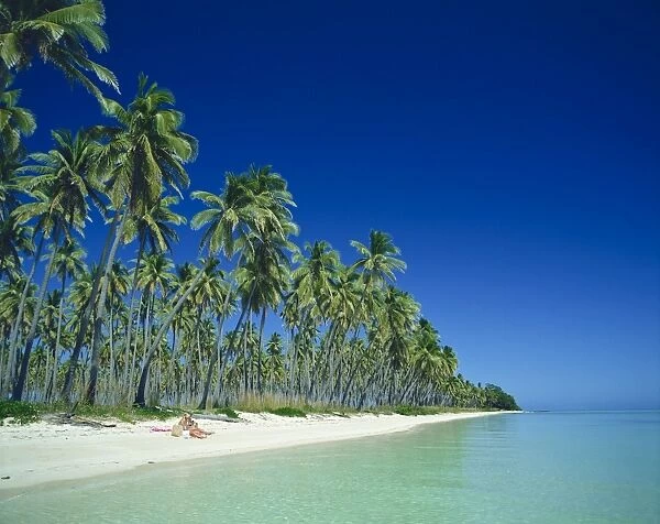 Fiji, Plantation Island