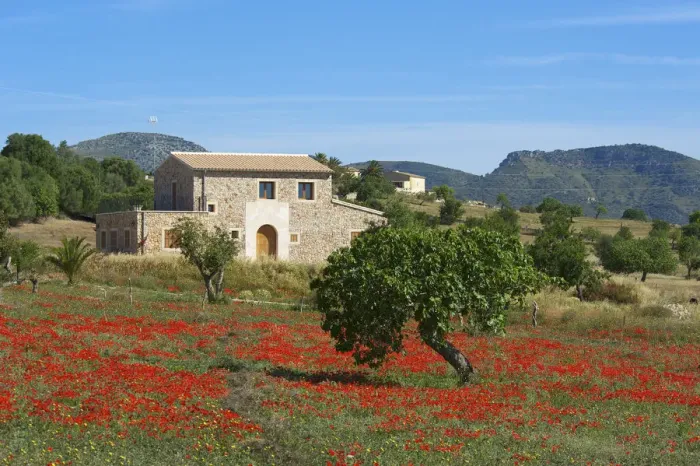 Framed Print : Finca, Poppy Blossom, Majorca, Balearics, Spain Framed Print : Finca, Poppy Blossom, Majorca, Balearics, Spain
