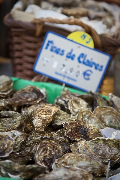 Fines de Claire oysters in market, Rue Mouffetard, Latin Quarter, Paris, France
