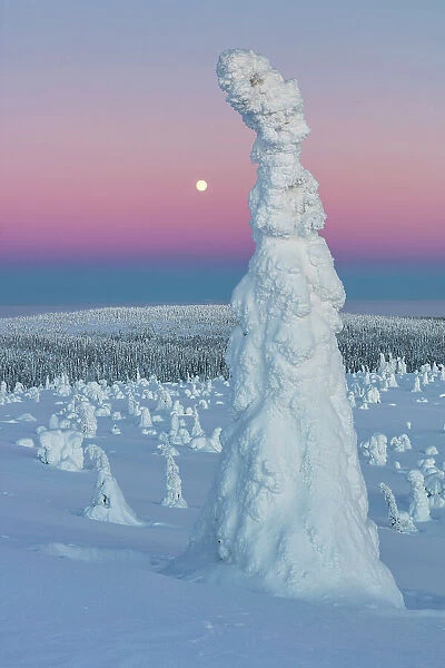 Finland, Lapland, Riisitunturi National Park