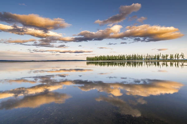 Fir trees and clouds reflecting on the suface of Hovsgol Lake at sunset. Hovsgol province