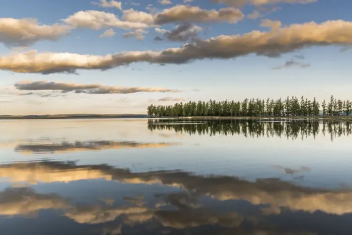 Framed Print : Fir trees and clouds reflecting on the suface of Hovsgol Lake at sunset. Hovsgol province Framed Print : Fir trees and clouds reflecting on the suface of Hovsgol Lake at sunset. Hovsgol province