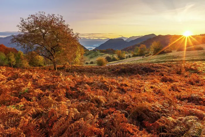 Framed Print : First autumn light on Piano delle Alpi with red ferns. Cerano d'Intelvi, Intelvi valley (val d'Intelvi), lake Como, Como province, Lombardy, Italy
