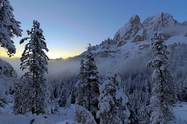 First lights of dawn on the snowy woods framing Sass De Putia Passo Delle Erbe Funes
