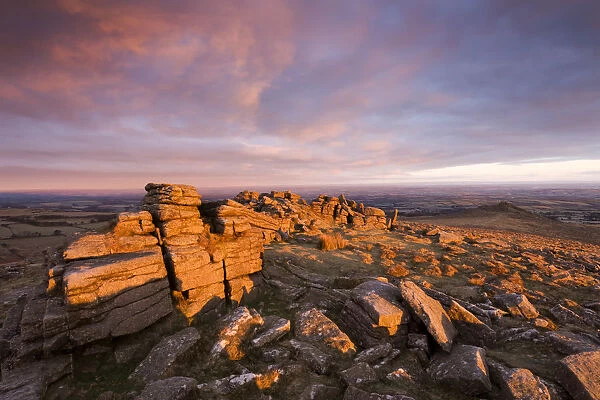 The first rays of early morning sunlight bathe Higher Tor in a rich glow, Dartmoor