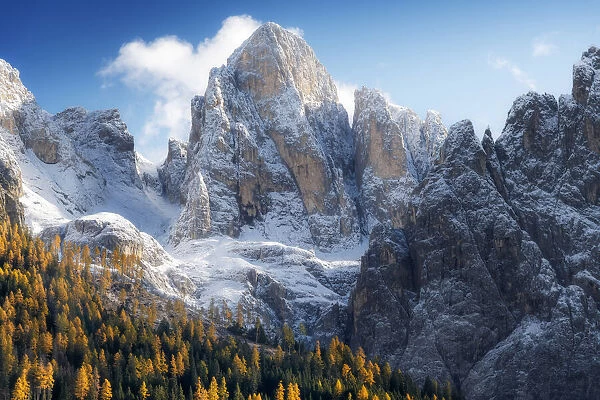 The first snow of the year in late autumn at Rolle Pass, with the majestic Pale di San Martino in the background and the colorful autumnal forest below. Dolomites, Italy