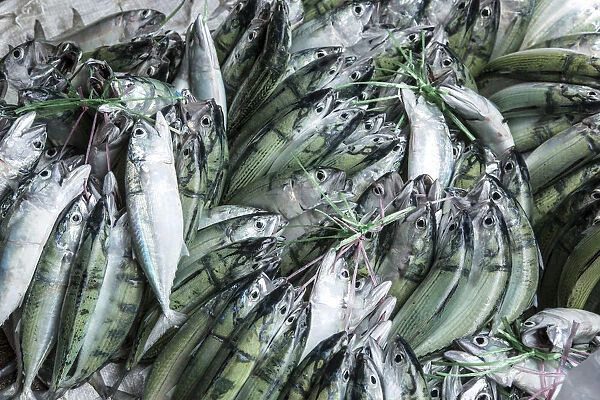 Fish displayed in the market in Victoria, Mahe, Seychelles
