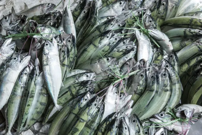 Framed Print : Fish displayed in the market in Victoria, Mahe, Seychelles