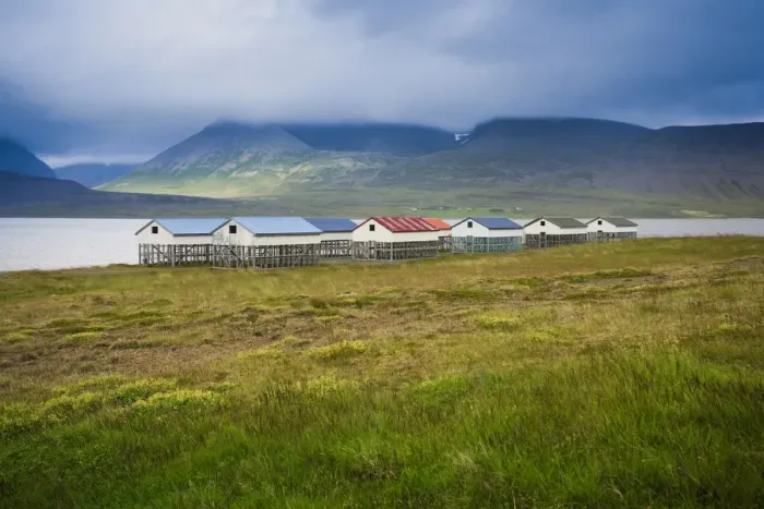Framed Print : Fish drying Houses near Isafjordur, Westfjords, Iceland Framed Print : Fish drying Houses near Isafjordur, Westfjords, Iceland