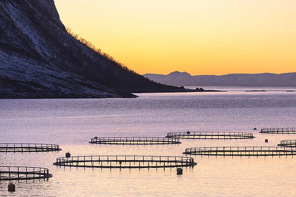 Fish farming in the fjord in front of Torsken. Torsken, Torskefjorden, Senja, Norway