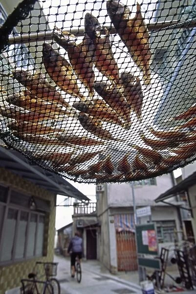 Fish are laid out to dry above the streets of Tai O