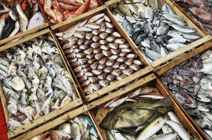Framed Print : Fish market, Ouranopoli, Chalkidiki, Greece Framed Print : Fish market, Ouranopoli, Chalkidiki, Greece