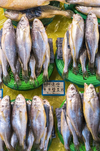 Fish on plates for sale, Noryangjin Fish Market, Seoul, South Korea