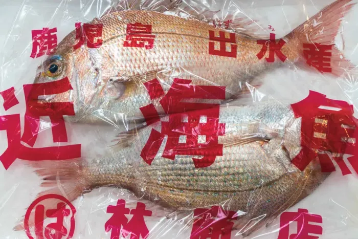 Framed Print : Fish for sale, Tsukiji Central Fish Market, Tokyo, Japan