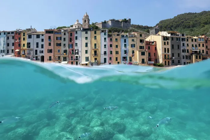 Framed Print : fish swim in the sea of Portovenree, Portovenere, Regional Park of Portovenre, La Spezia province, Liguria, Italy
