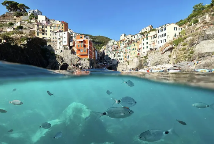 Framed Print : fish swim in the sea of Riomaggiore, Riomaggiore, National Park of Cinque Terre, La Spezia province, Liguria, Italy Framed Print : fish swim in the sea of Riomaggiore, Riomaggiore, National Park of Cinque Terre, La Spezia province, Liguria, Italy