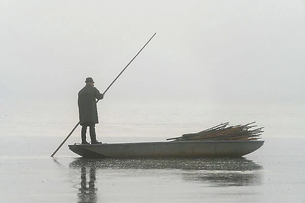 Fisherman on boat preparing for fish harvest on foggy morning, Rozmberk Pond, UNESCO, Trebon, Jindrichuv Hradec District, South Bohemian Region, Czech Republic