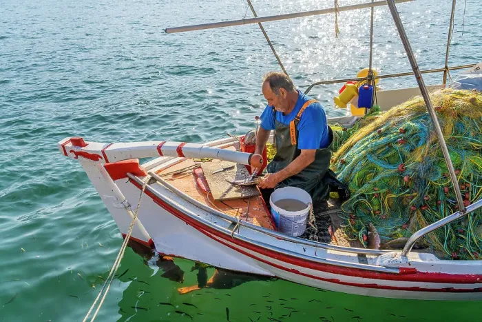 Framed Print : Fisherman cleaning fish in Argostoli, Kefalonia, Ionian Islands, Greek Islands, Greece