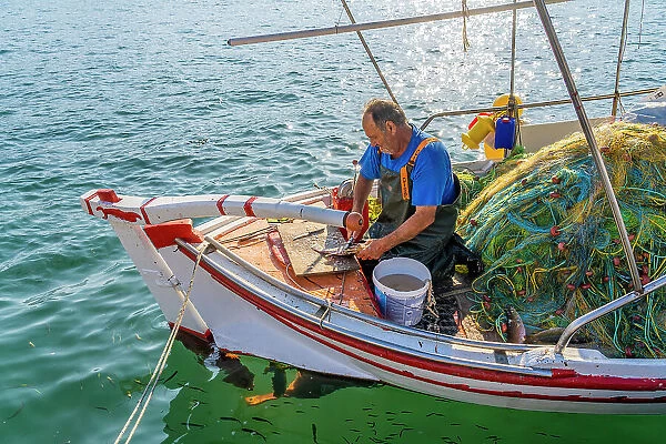 Fisherman cleaning fish in Argostoli, Kefalonia, Ionian Islands, Greek Islands, Greece