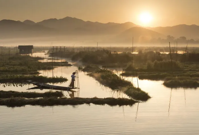 Framed Print : A fisherman rows in floating gardens at sunrise, Inle Lake, Shan State, Myanmar Framed Print : A fisherman rows in floating gardens at sunrise, Inle Lake, Shan State, Myanmar