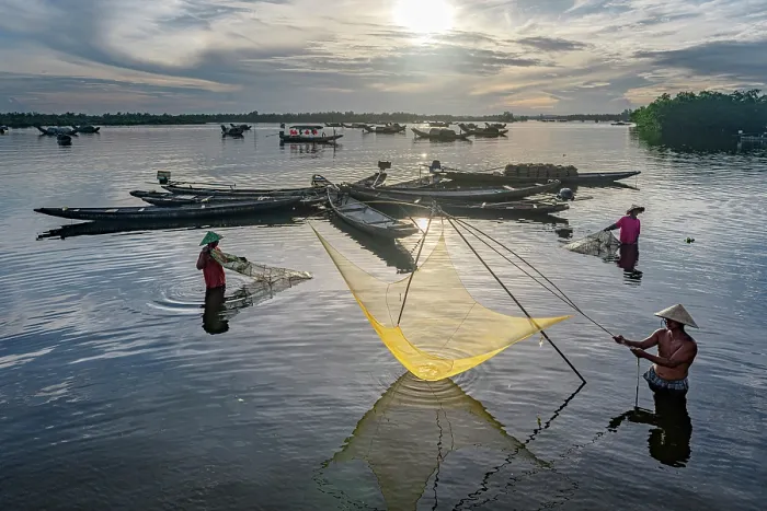 Framed Print : Fishermen collecting fish with traditional nets, Hue, Thua Thien-Hue province, Central Vietnam. (MR) Framed Print : Fishermen collecting fish with traditional nets, Hue, Thua Thien-Hue province, Central Vietnam. (MR)