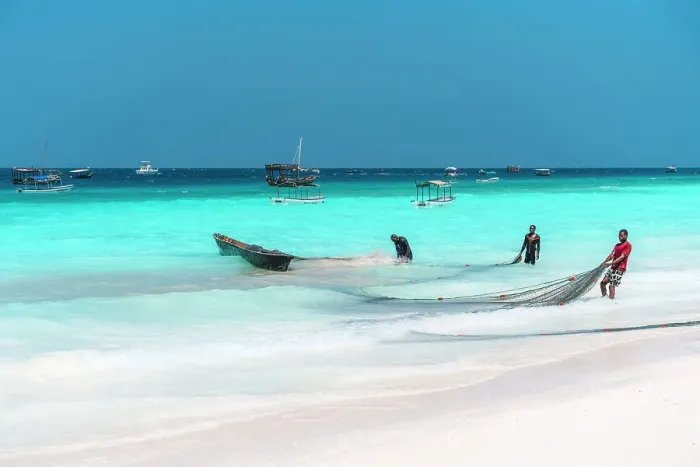 Framed Print : Fishermen haul their nets ashore after a fishing trip, Zanzibar, Tanzania, Africa Framed Print : Fishermen haul their nets ashore after a fishing trip, Zanzibar, Tanzania, Africa