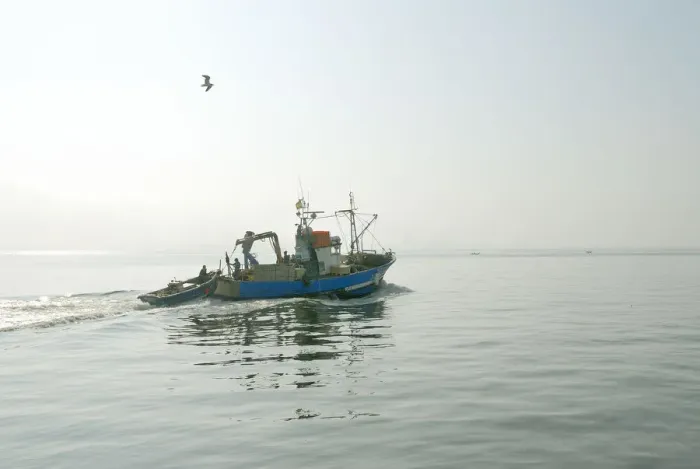 Framed Print : Fishing boat in a foggy morning going to the sea. Setubal, Portugal Framed Print : Fishing boat in a foggy morning going to the sea. Setubal, Portugal