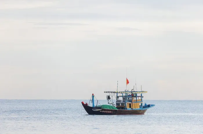 Framed Print : Fishing boat heading to shore, Binh Minh fish market, near Hoi An, Vietnam Framed Print : Fishing boat heading to shore, Binh Minh fish market, near Hoi An, Vietnam