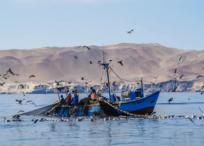Framed Print : Fishing Boat near Paracas, Ica Region, Peru Framed Print : Fishing Boat near Paracas, Ica Region, Peru