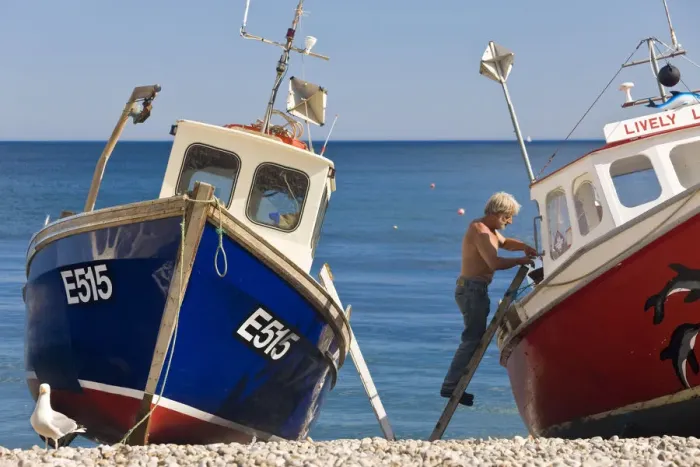 Framed Print : Fishing boats, Beer, Devon, UK Framed Print : Fishing boats, Beer, Devon, UK