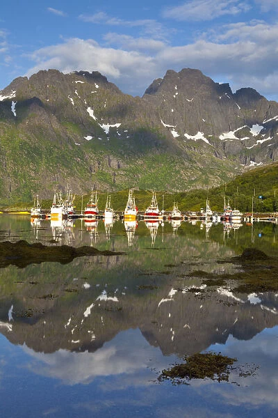Fishing Boats in fjord, Austnesfjorden, Vagan, Lofoten, Nordland, Norway