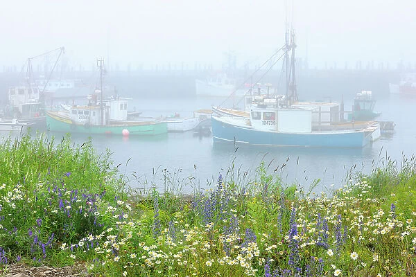 Fishing boats in fog at North Head Grand Manan Island New Brunswick, Canada