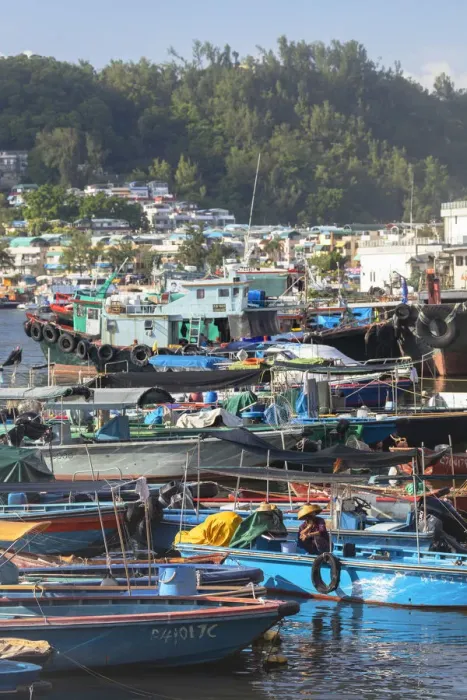 Framed Print : Fishing boats in harbour, Cheung Chau, Hong Kong Framed Print : Fishing boats in harbour, Cheung Chau, Hong Kong