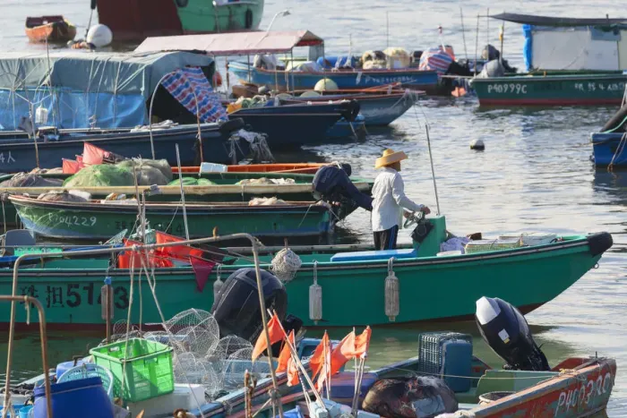 Framed Print : Fishing boats in harbour, Cheung Chau, Hong Kong Framed Print : Fishing boats in harbour, Cheung Chau, Hong Kong