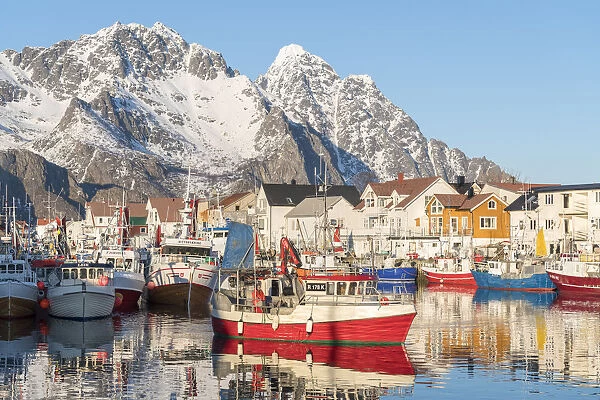 Fishing boats in the harbour, with snowcapped mountains in the background. Henningsvaer
