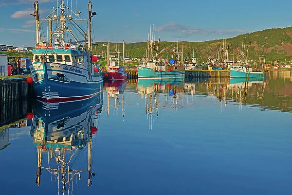 Fishing boats in La Scie Harbour off the Atlantic Ocean. Baie Verte Peninsula. La Scie, Newfoundland & Labrador, Canada
