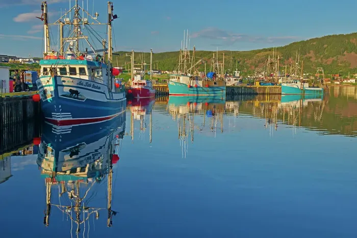 Framed Print : Fishing boats in La Scie Harbour off the Atlantic Ocean. Baie Verte Peninsula. La Scie, Newfoundland & Labrador, Canada Framed Print : Fishing boats in La Scie Harbour off the Atlantic Ocean. Baie Verte Peninsula. La Scie, Newfoundland & Labrador, Canada