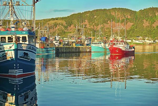 Fishing boats in La Scie Harbour off the Atlantic Ocean. Baie Verte Peninsula. La Scie, Newfoundland & Labrador, Canada